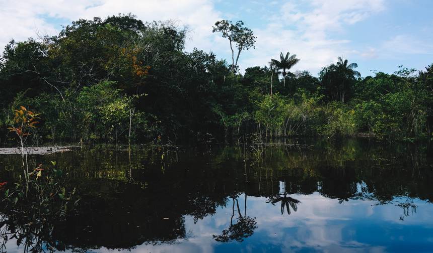 Przygoda w dżungli Amazonii w Manaus 5D/4N — 1