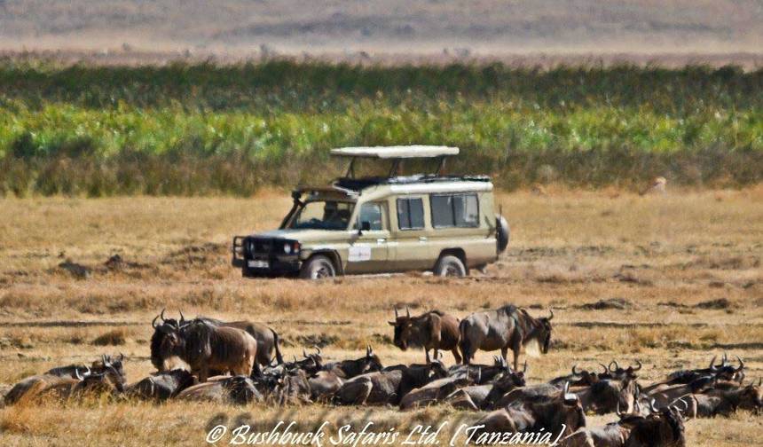 5 Dni Safari średniej klasy do Serengeti i Krateru Ngorongoro — 1