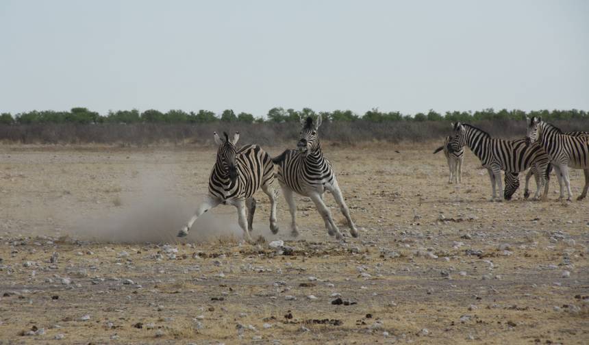 11 Days Namibia Experience Accommodated Tour — 1