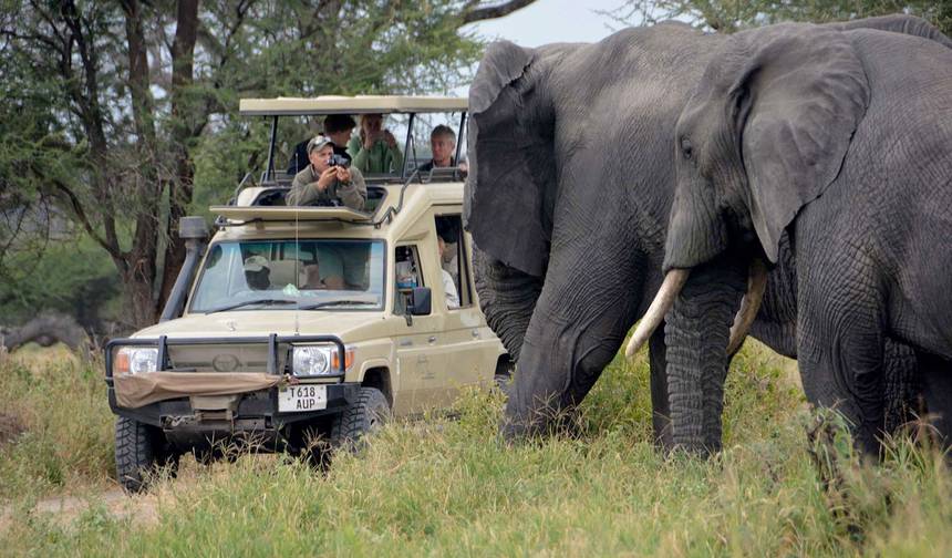 Safari de Acampamento Econômico de 4 Dias no Circuito Norte da Tanzânia — 1