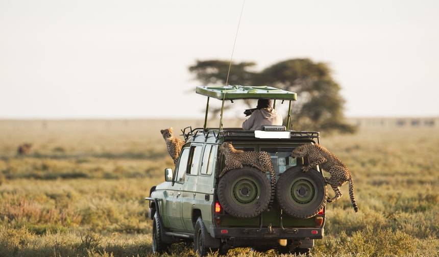 5 Days Amboseli & Tsavo West Wildlife Safari — 1