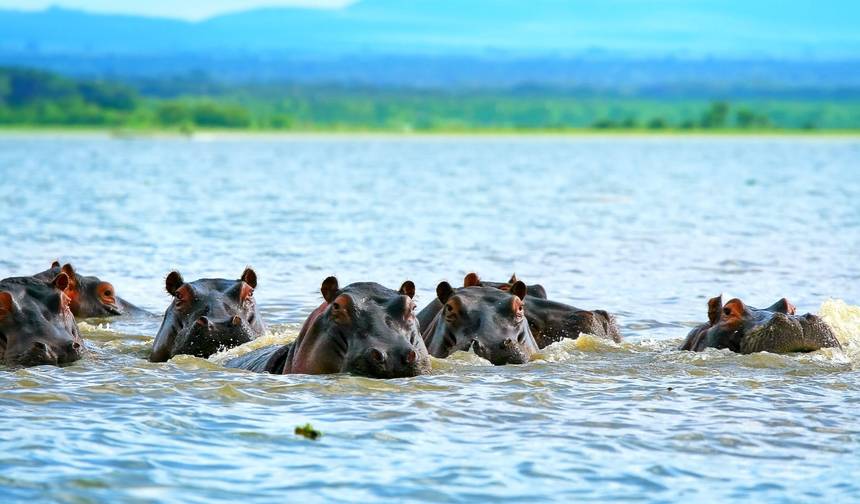 Excursão de 2 dias a Hell's Gate, Lago Naivasha e Ilha Crescent - Partidas Diárias — 1