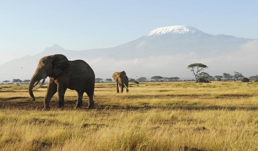 3-Day Amboseli National Park Safari - Mid-range — 1