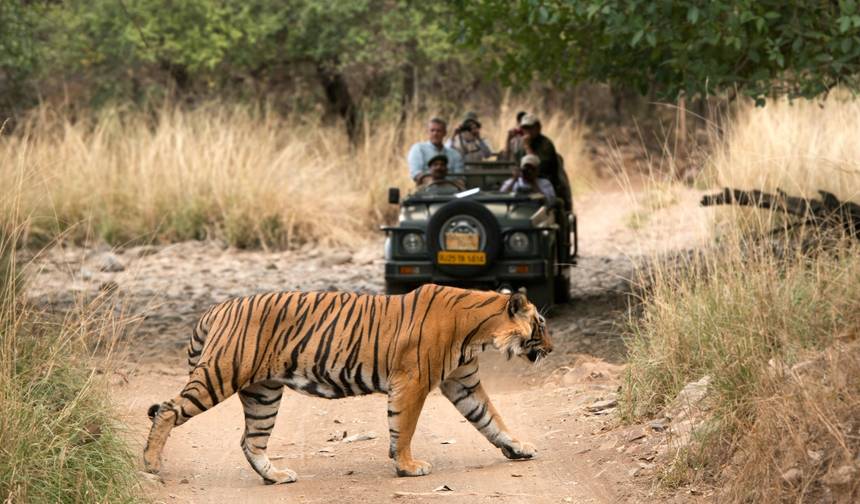 6-dniowa wycieczka po Złotym Trójkącie z tygrysami z Ranthambore i zachodem/wschodem słońca przy Taj Mahal — 1