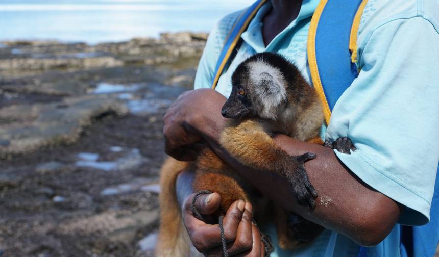 Klasyczna wycieczka po Madagaskarze 10 dni/9 nocy — 1