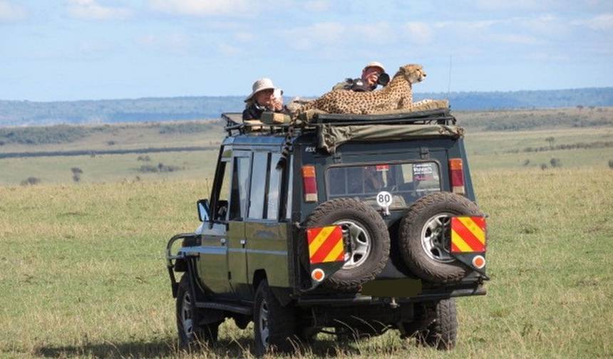 9 Days Kenya Classic Lodge Safari — 1