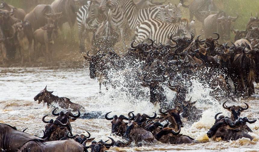 5-dniowe safari w lodżach średniej klasy: Hell's Gate, Jezioro Naivasha, Jezioro Nakuru i Masai Mara — 1