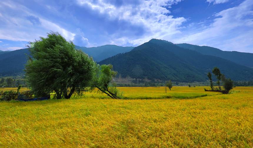 Laddakh The Dream Land with Valley of Kashmir & Taj — 1