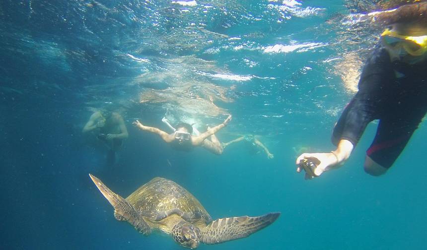 Doświadczenie na Galapagos: 7 dni — 1