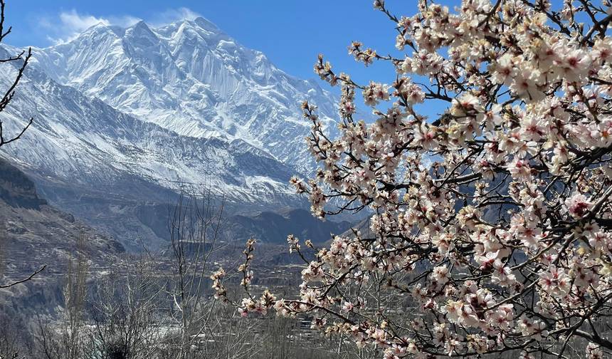 Wycieczka na kwitnienie do Hunzy, Pakistan 2026 i 2027 — 1