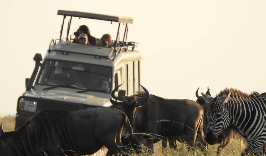 8 Days Tanzania Familly Safari/Tarangire, Lake Manyara Serengeti, Ngorongoro Crater — 1