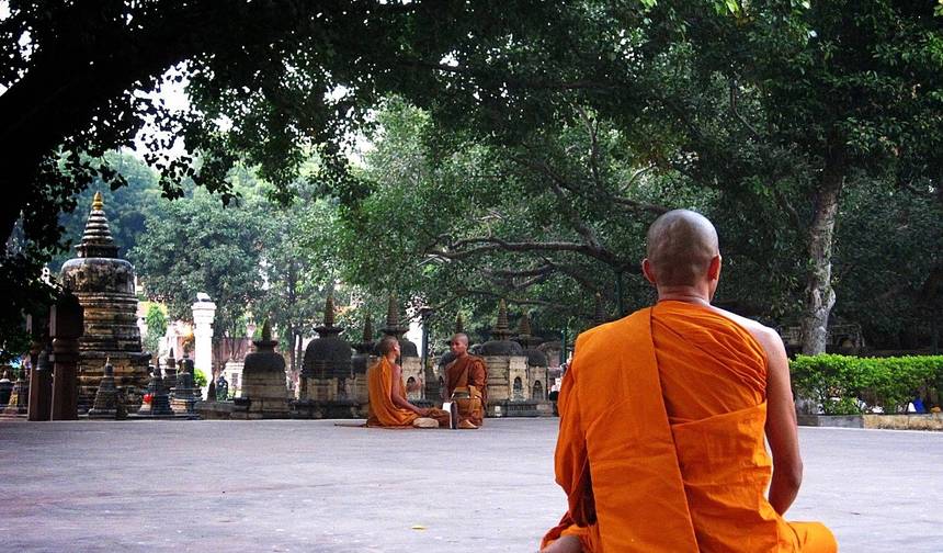 Tour de Yoga na Índia com Taj Mahal (14 destinos) — 1
