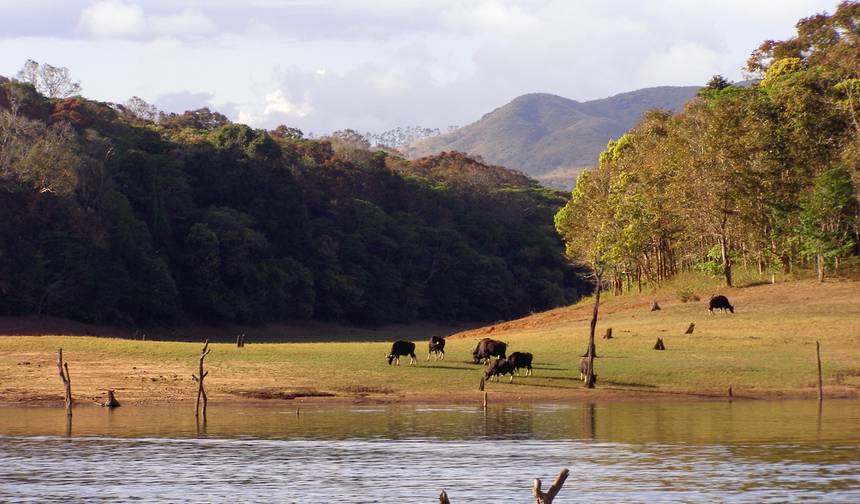 Excursão de 10 Dias por Kerala — 1