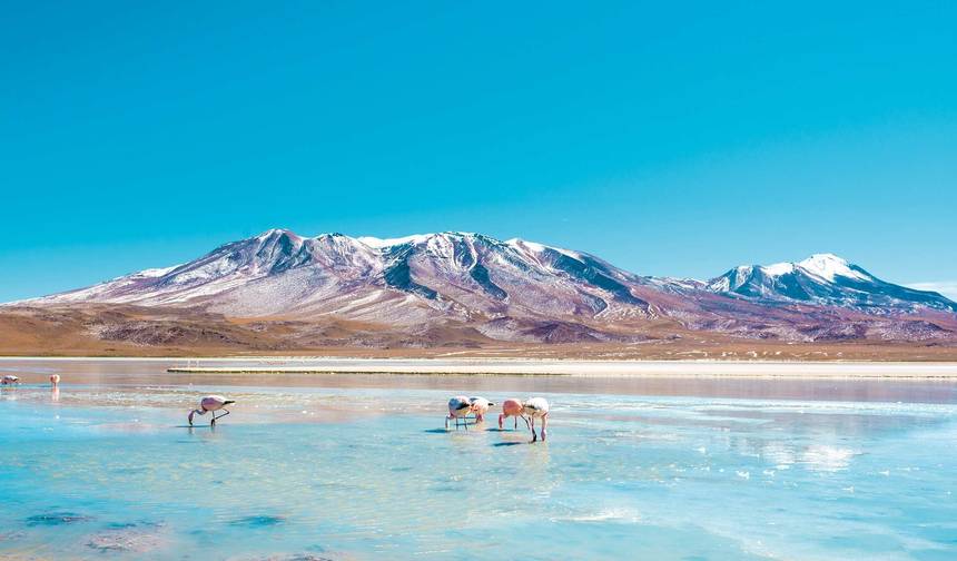 Golden Triangle Tour with Leh — 1