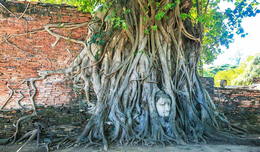 Spersonalizowana 10-dniowa prywatna wycieczka po Tajlandii z wyspą Koh Samui, codzienne wyjazdy — 1