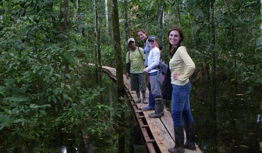 Colpa de Araras de Tambopata: 3 Dias/2 Noites — 1