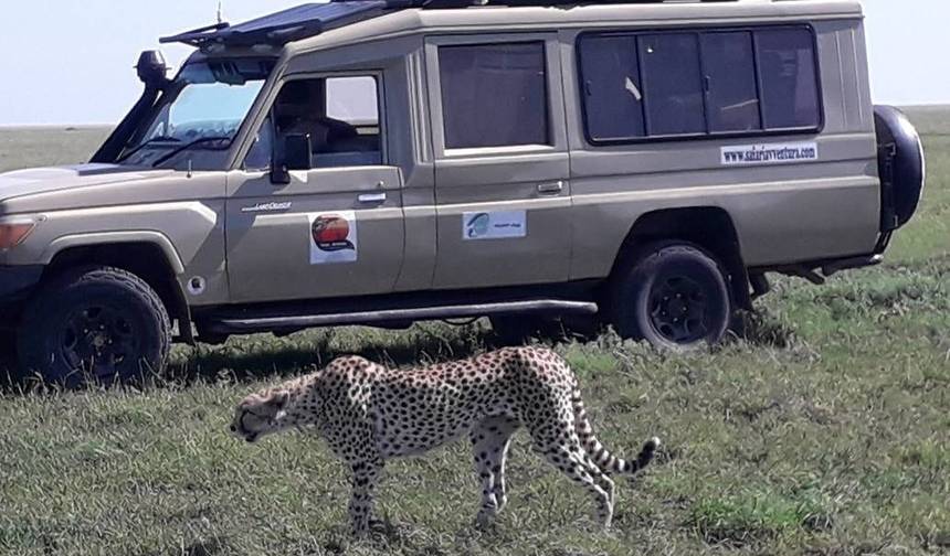 Safári Privado de 7 Dias nos Parques do Norte da Tanzânia + Extensão de Praia em Zanzibar de 7 Dias — 1
