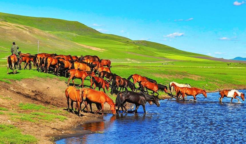Szyta na miarę 10-dniowa luksusowa wycieczka po Mongolii, prywatny przewodnik i kierowca — 1