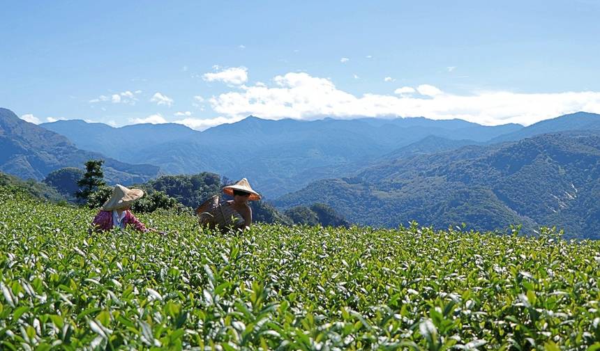 Excursão Privada Premium de 5 Dias a Sun Moon Lake e Alishan saindo de Taipé — 1