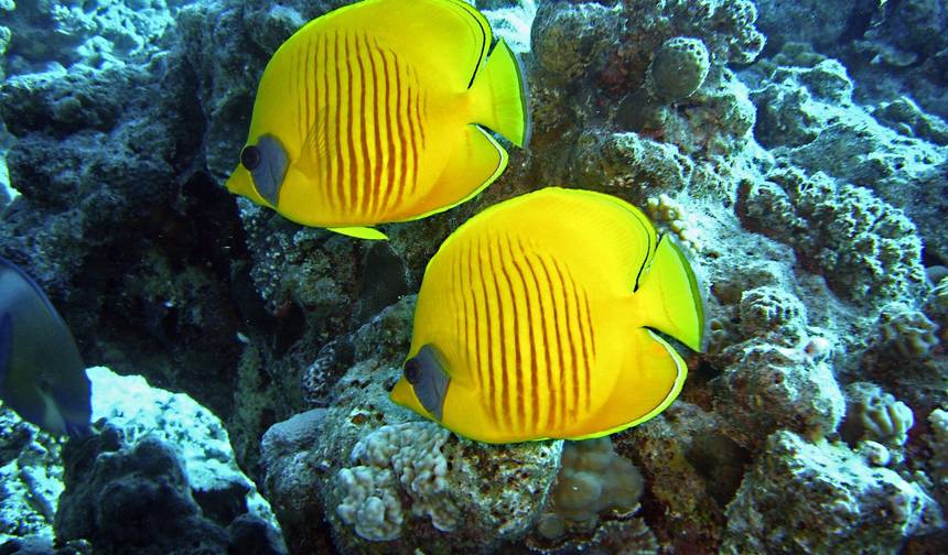 6-dniowa wycieczka Kair i Hurghada — 1