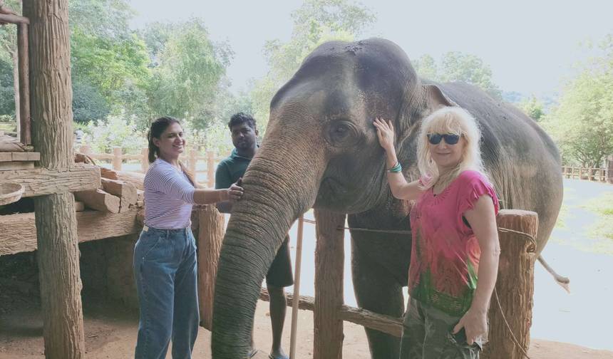 Essential Sri Lanka 7 Day Private Car Tour — 1