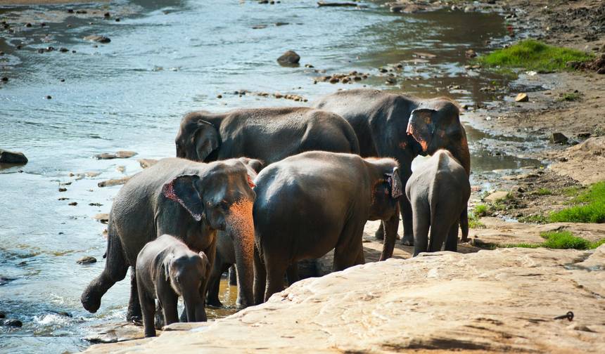O Melhor da Índia e Sri Lanka com relaxamento na praia — 1