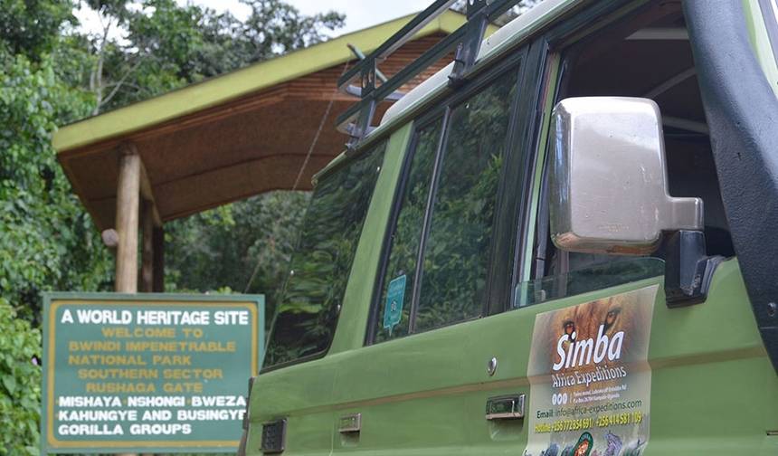 Safari de 4 Dias: Rastreamento de Gorilas em Bwindi e Queen Elizabeth — 1