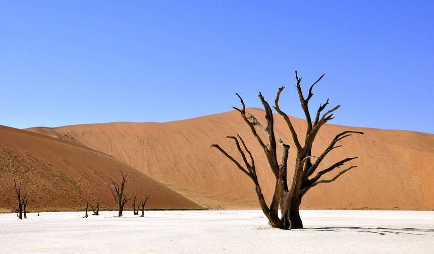 Namibian Adventure (Camping) 5 Days / 4 Nights — 1