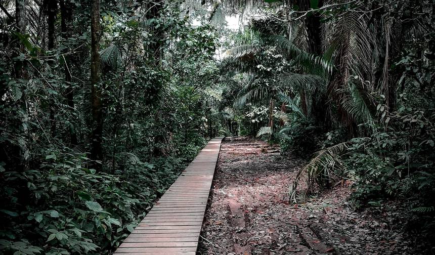 Puerto Maldonado Amazon Superior Lodge 5D/4N (from Puerto Maldonado) — 1