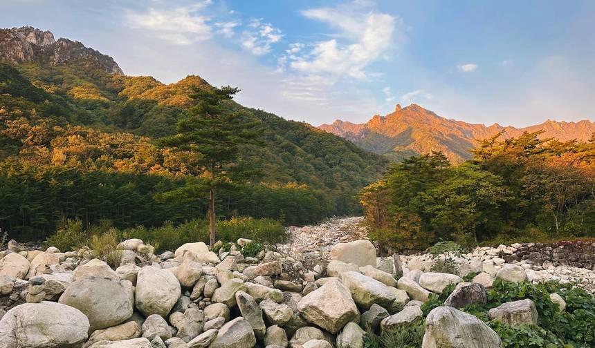 韓国世界遺産探訪 11日間/10泊 — 1