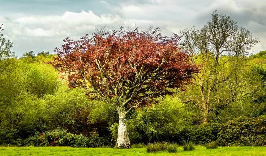 Mystical Ireland - 8 Days/7 Nights — 1