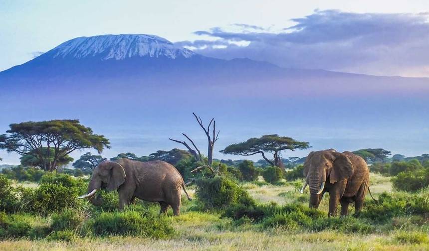 Mombasa Rendezvous, Private Tour (On Request) — 1