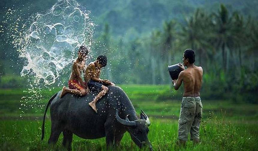Truly Vietnam in 10 Days — 1