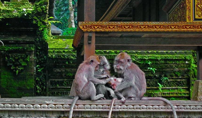 Niezapomniane Bali, Prywatna Wycieczka — 1