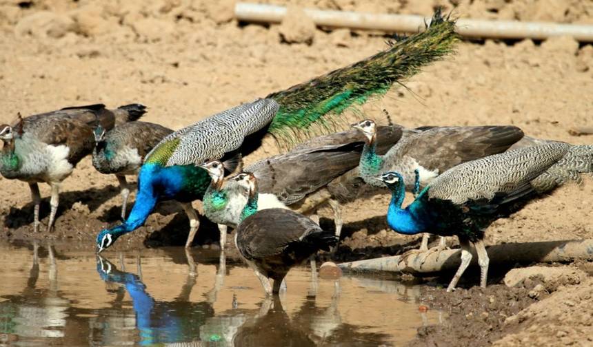 Incredible Rajasthan Trip — 1