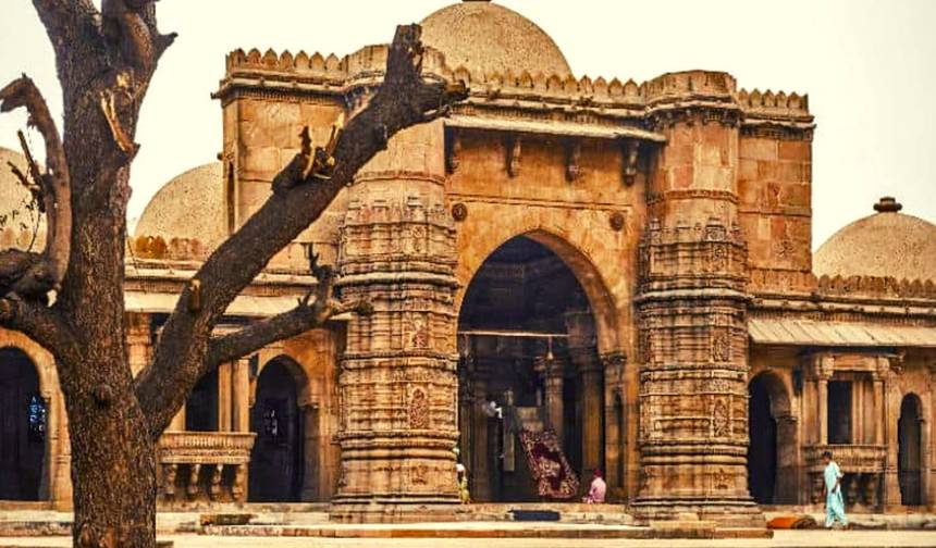Encantador Rajastão com Gujarat — 1