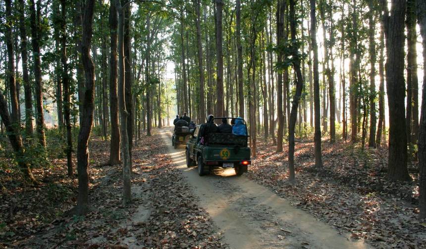 Nagpur do Bhopal przez Pench & Satpura National Park — 1