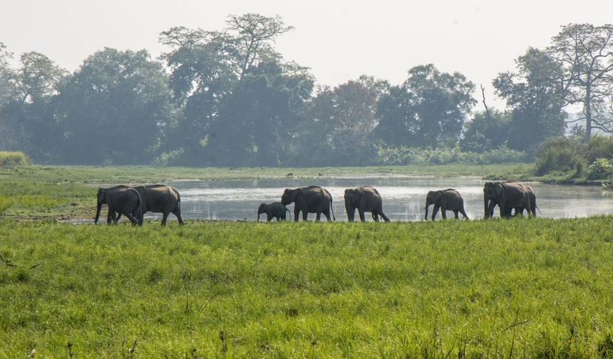 North East India Monastic and Wildlife Tour — 1