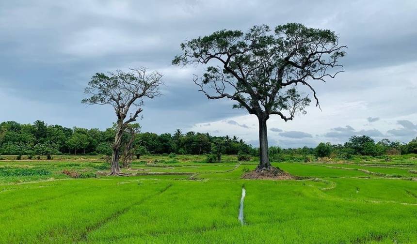 Sri Lanka 4 Days Itinerary — 1