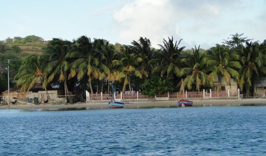 The Eastern Madagascar wonder — 1