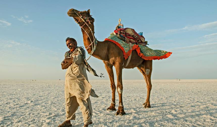 Gujarat Historical, Cultural, Religious & Wildlife Discovery Tour — 1