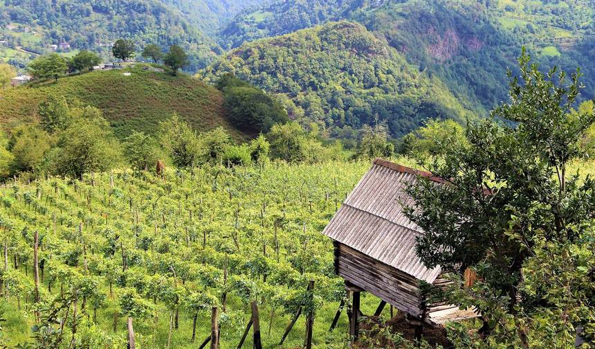 Private adventure journey to Georgia — 1