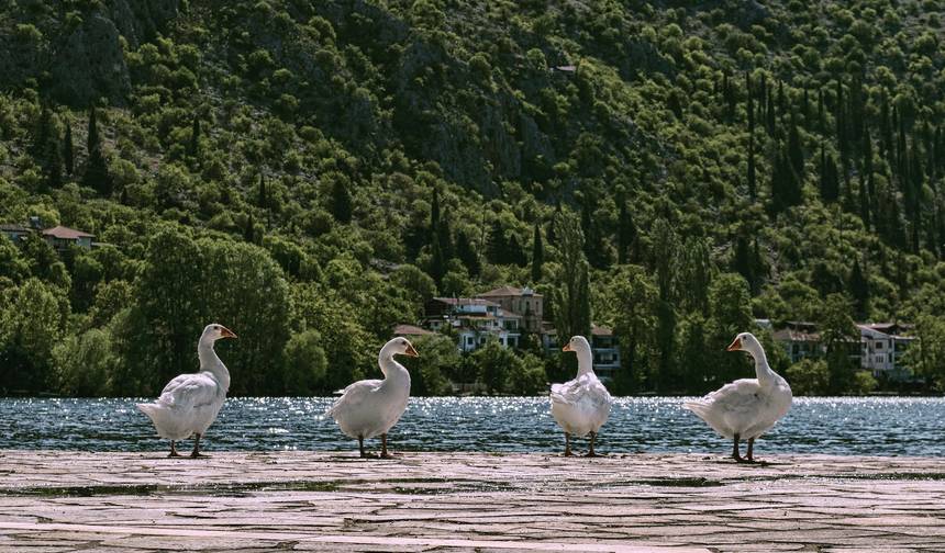 7-Day Northern Greece Tour – Athens, Delphi, Meteora, Kastoria & Thessaloniki — 1