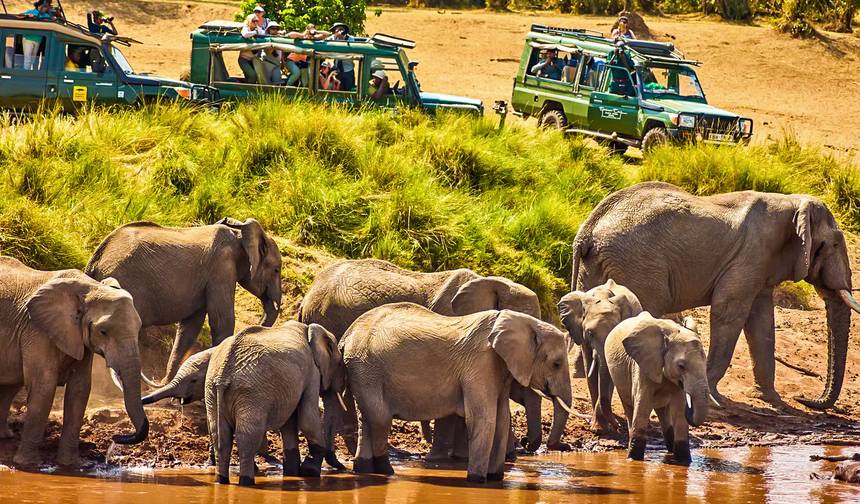 Tailor-Made 9 Days Private Tanzania Northern Circuit Trip — 1