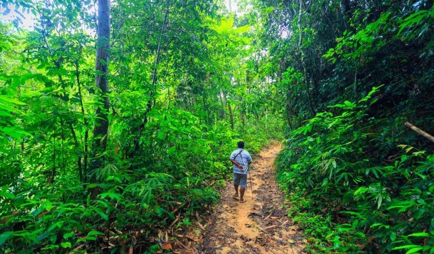 Khao Sok Discovery, Small Group Tour (On Request) — 1