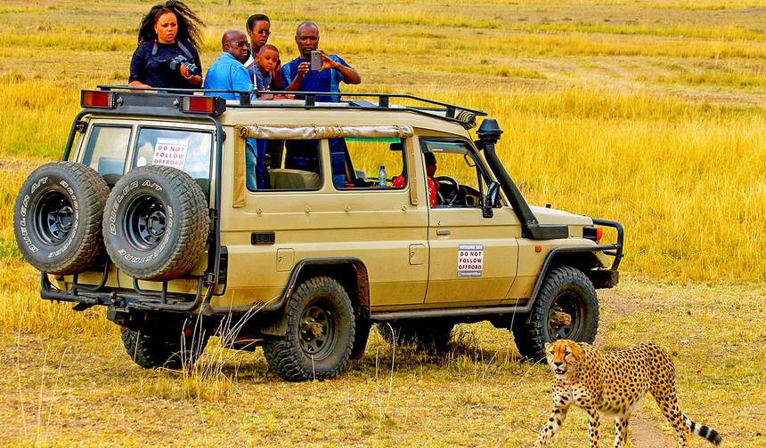 Viagem Privada Personalizada ao Quênia para a Migração dos Gnus em Masai Mara, Partida Diária — 1