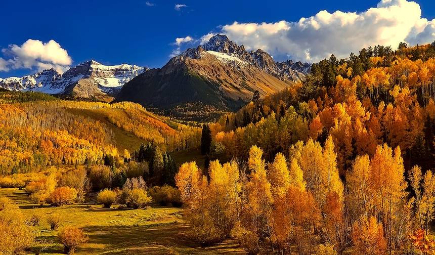USA – Colorado Highlights Aspen with Fall Foliage — 1