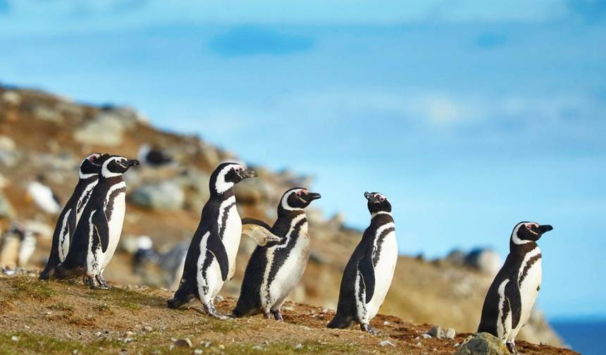 13-Day Trip Chile from North to South — 1