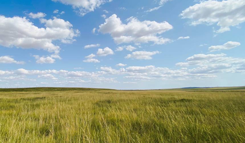6-Day Inner Mongolia Tour: Grassland, Desert, Ordos, Baotou, Hohhot — 1