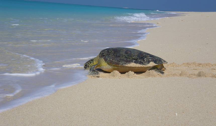 Immersion in the sumptuous Nosy Be archipelago for 3 days — 1